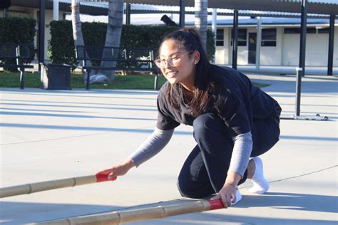 Learning the Tinikling: A Step.